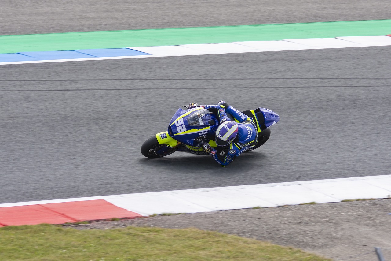 多特蒙德后 多特蒙德后