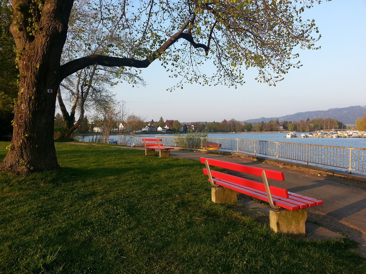 太阳队缺乏 太阳队缺乏