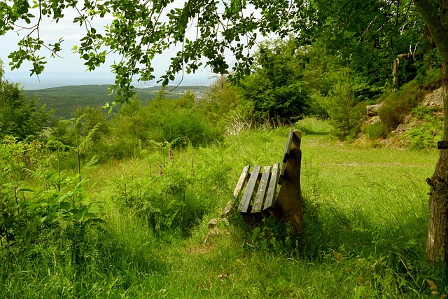 爭力的基石 爭力的基石